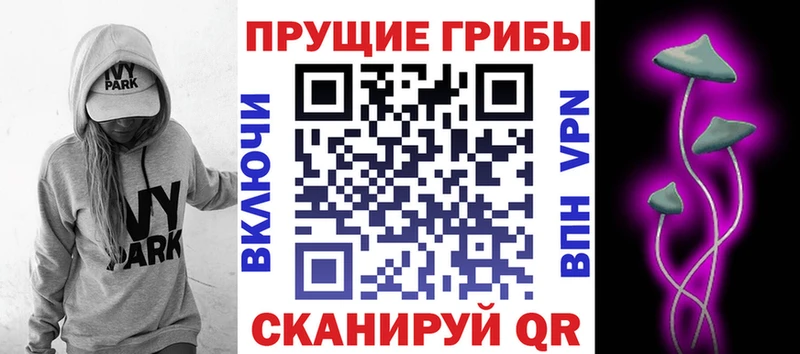 купить наркоту  Ульяновск  Галлюциногенные грибы прущие грибы 