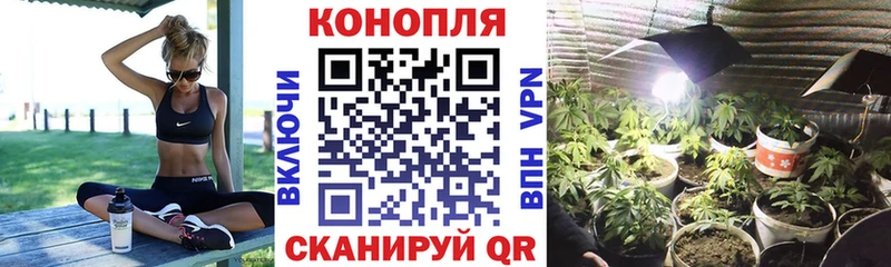 Каннабис семена Ульяновск